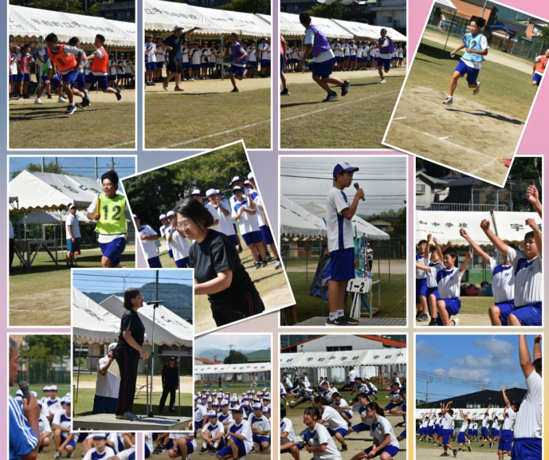 Purple Aesthetic Lavender Memories Photo Collage Facebook Post (1)