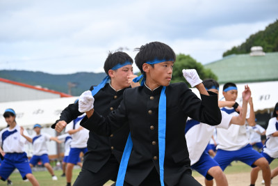 青 (2)