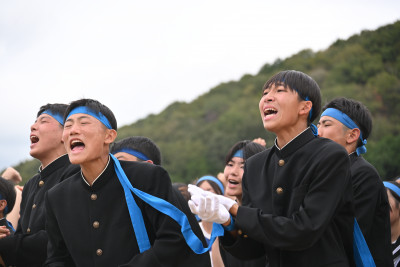 青 (13)