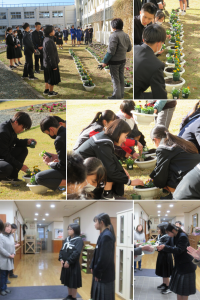 Beautiful Natural Scenery Aesthetics Mood Photo Collage