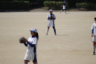 ソフト (15)