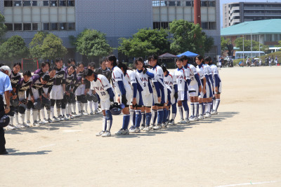 ソフト (33)