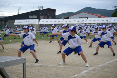 ７ (11)