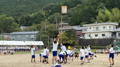 IMG_1253