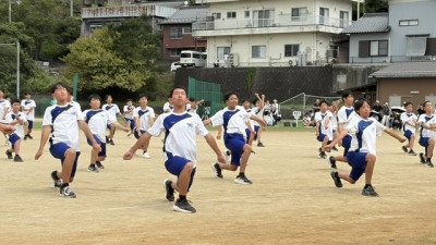 ③ (43)