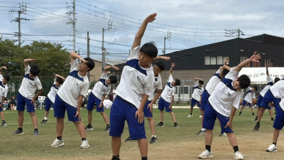 ③ (46)