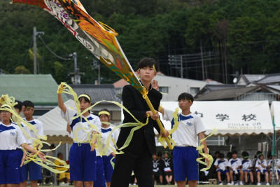 黄 (3)