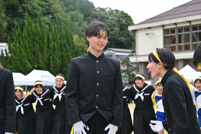 黄 (7)