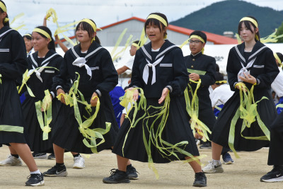黄 (6)