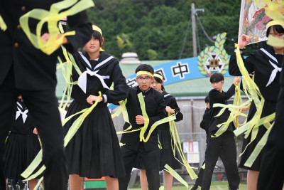 黄 (14)