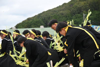 黄 (20)
