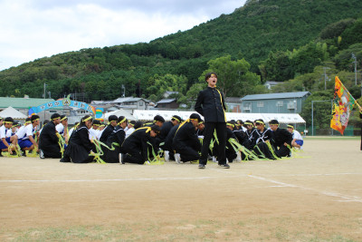 黄 (23)