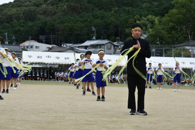 黄 (24)