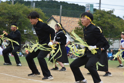 黄 (25)
