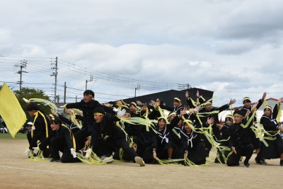 黄 (29)