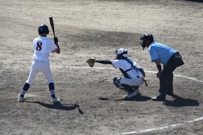 野球 (20)