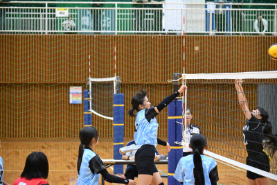女子 (16)